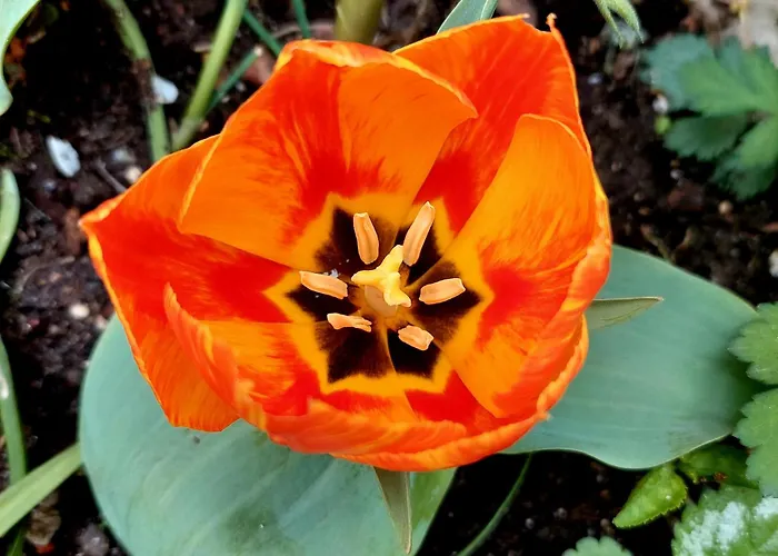 Bekyarov House - Location- In The Heart Of The Town Burgas Stad