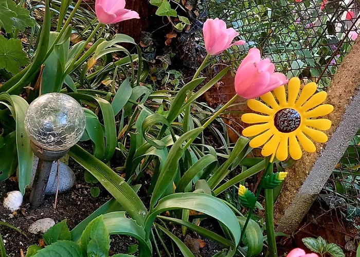 Bekyarov House - Location- In The Heart Of The Town