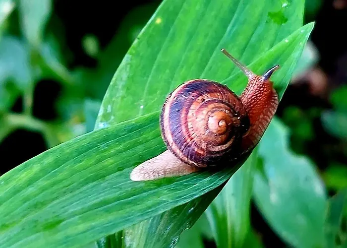 Bekyarov House - Location- In The Heart Of The Town شقة